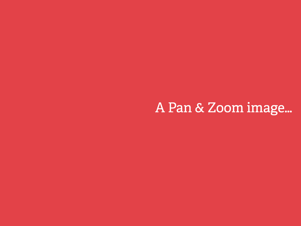 A Pan & Zoom image…